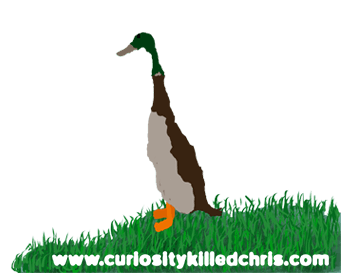 Curiosity Killed Chris